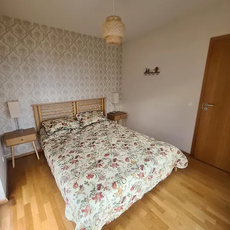 2 K Butas Su Terasa Vanagupeje Appartamento